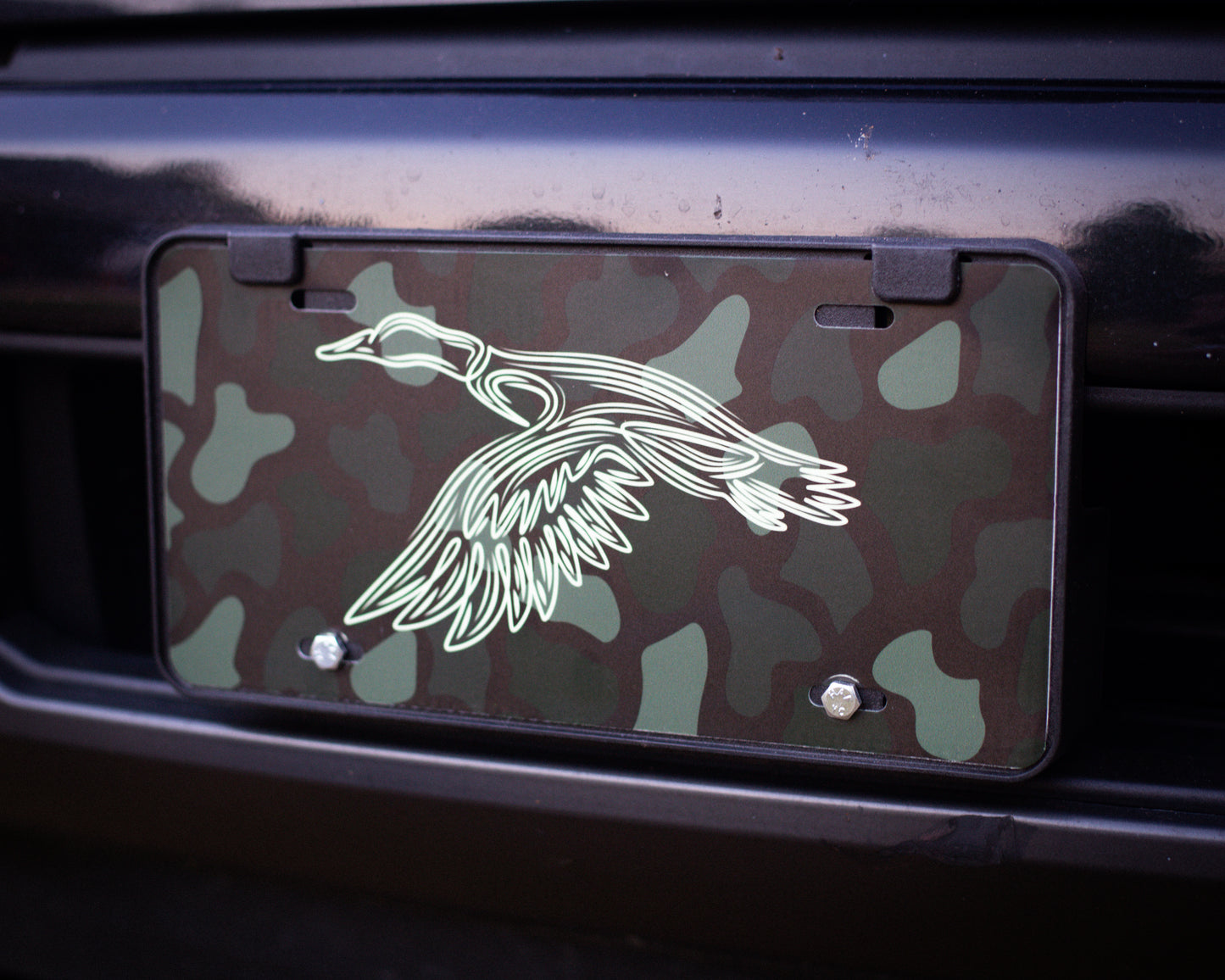 Glow in the dark Ghost Duck License plate.